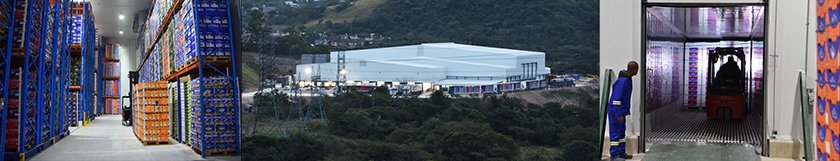 GoChill Cold Storage Facility in Durban
