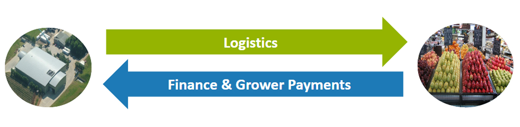 iroot logistics management software